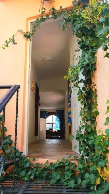 El Jardin De Chela Apartamento Guanajuato
