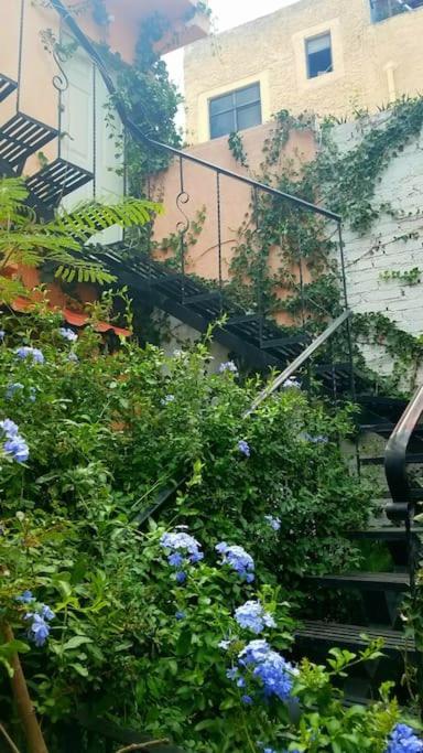 El Jardin De Chela * Guanajuato