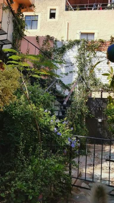 El Jardin De Chela *